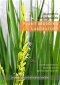 PLANT BREEDING LABORATORY คู่มือปฎิบัติการ การปรับปรุงพันธุ์พืช